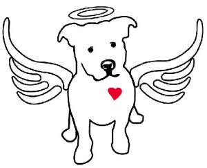 angel dog 